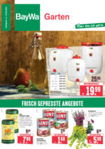 Wochenangebote