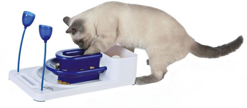 Cat Activity Fantasy Board 21x34cm