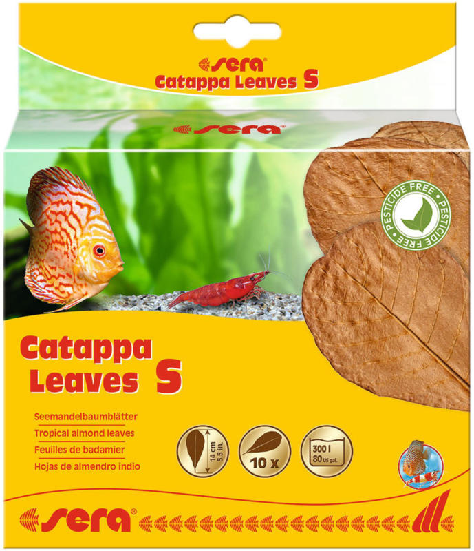 Catappa Leaves S 10 Stück