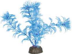 Amazonas Nano Pflanze blau 12cm