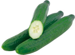 Bio Gurken