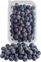 Heidelbeeren
