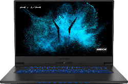 MEDION ERAZER® Beast X10 (MD61805), Gaming Notebook mit 17.3 Zoll Display, Core™ i7 Prozessor, 32 GB RAM, 1 TB SSD, GeForce® RTX 2080 SUPER™, Schwarz
