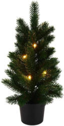 Weihnachtsbaum Basilius