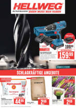 Wochenangebote