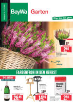 Wochenangebote