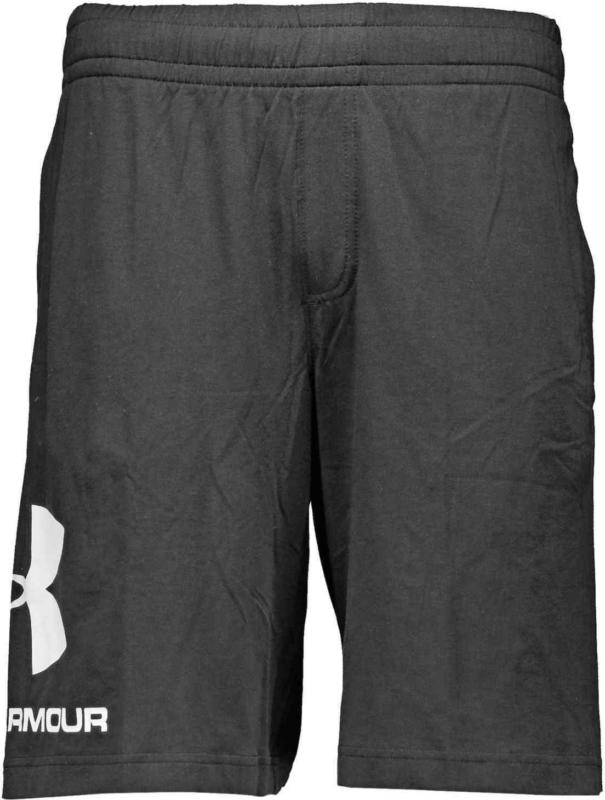 Under Armour Herren-Shorts Big Logo -
