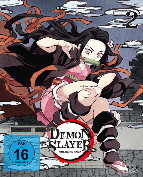 Demon Slayer - Staffel 1 - Vol. 2