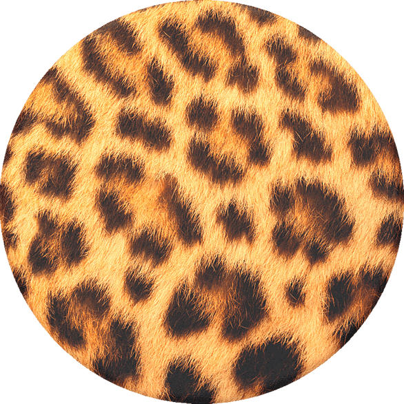 POPSOCKETS 90059 Handyhalterung, Cheetah Chic