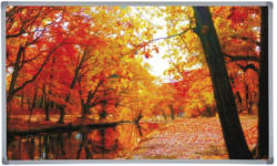 Infrarot Heizung 600 W Forest Fall 100x60 cm