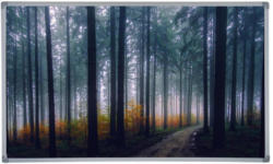 Infrarot Heizung 600 W Forest Fog 100x60 cm