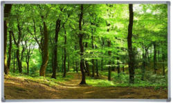 Infrarot Heizung 600 W Forest Summer 100x60 cm