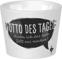 Eierbecher Motto Des Tages: Vom Bett Aus