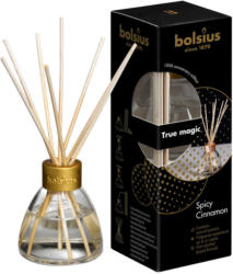 Raumduft 45 ml