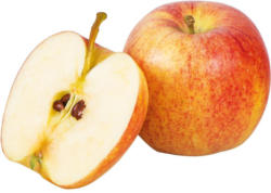 Da komm ich her! Boskoop Apfel gelegt aus Österreich