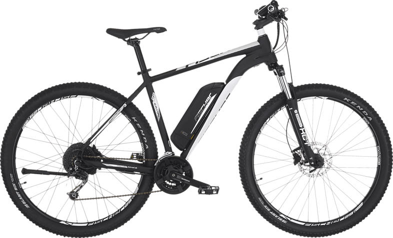 FISCHER EM 1724-S2 Mountainbike (29 Zoll, 51 cm, 422 Wh, Schwarz matt)