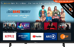 GRUNDIG 40 GFB 6070 FIRE TV EDITION LED TV (Flat, 40 Zoll/102 cm, Full-HD, SMART TV, Fire TV Experience)
