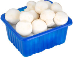 Champignon