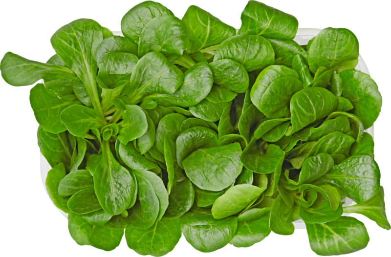 Nüsslisalat, Schweiz, 125 g