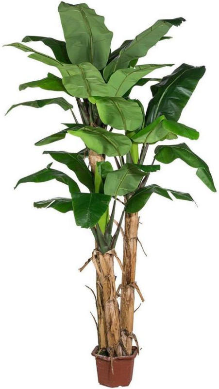 Kunstpflanze Palme H: 280 cm Grün