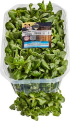 Unsere Heimat - echt & gut Feldsalat