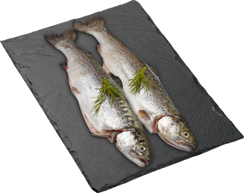 Truite Denner, Danemark, 2 x 350 g