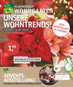 Oldenburger Wohngarten GmbH & Co. KG Oldenburger Wohngarten - bis 10.11.2020