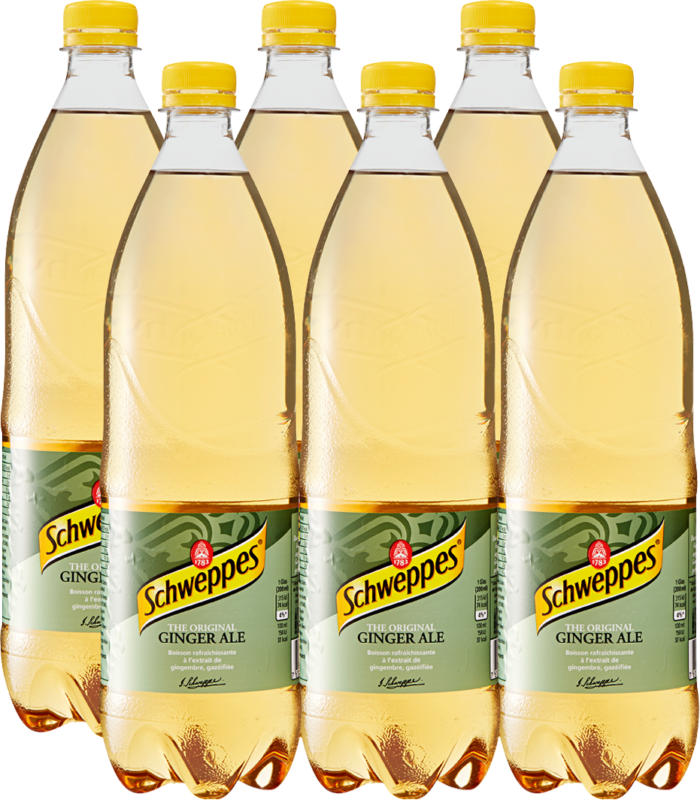 Schweppes Ginger Ale, 6 x 1 litro