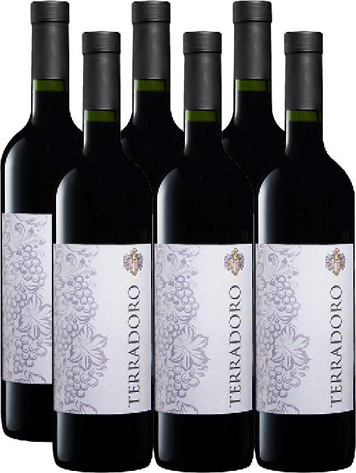 Terradoro Salice Salentino DOP, 2019, Apulien, Italien, 6 x 75 cl