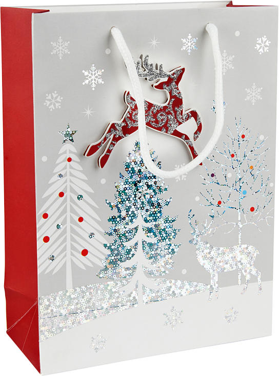 Geschenktasche