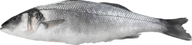 Wolfsbarsch (Loup de Mer)
