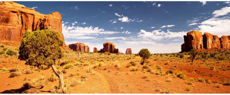 Design-Heizkörper „Monument Valley“, mit Thermostat, 40x100 cm
