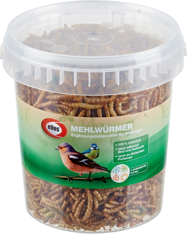 elles Futter für Vögel, Mehlwürmer
