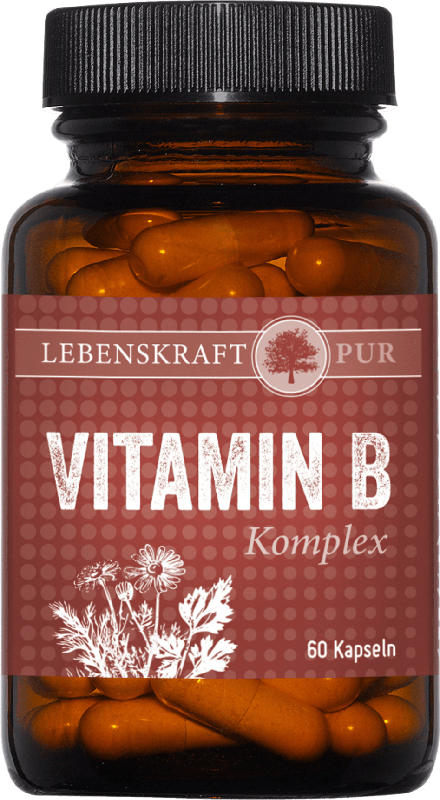 Lebenskraftpur Vitamin B Komplex 60St.