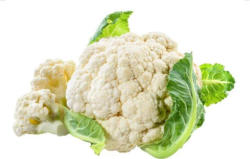 Blumenkohl
