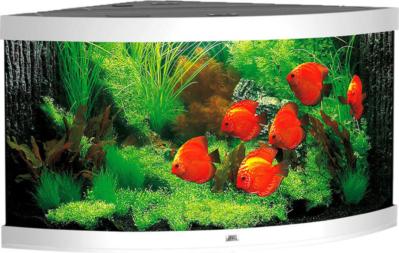 Juwel Aquarium Trigon 350 123x87x65cm blanc