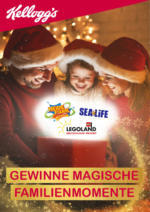 KELLOGG Gewinne Magische Familienmomente mit Kellogg's! - bis 03.12.2020