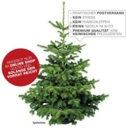 Weihnachtsbaum