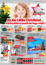 Hagebau Lieb Markt Flugblatt - gültig bis 31.12.