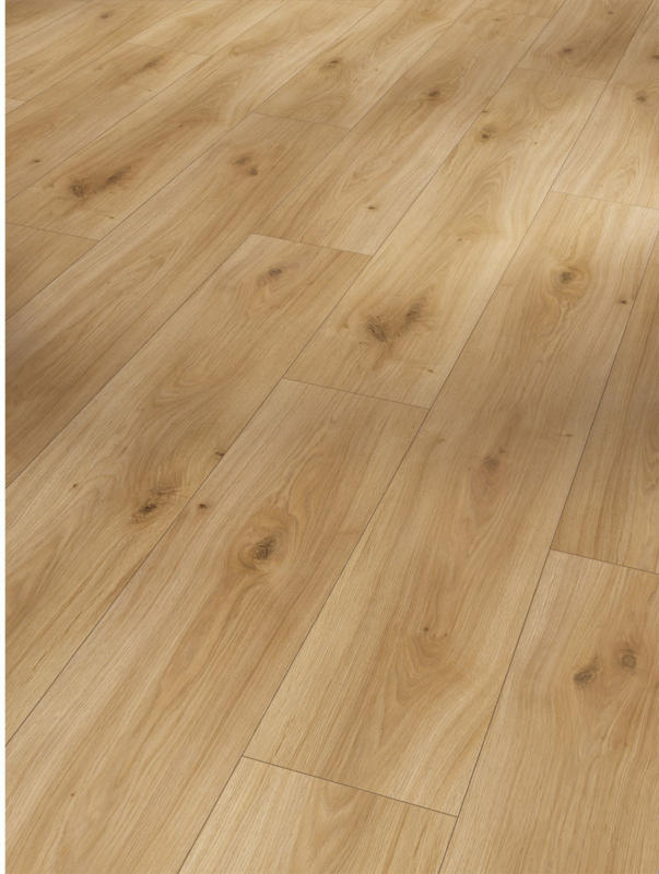 Laminat „Basic 200“ Eiche Horizont Natur