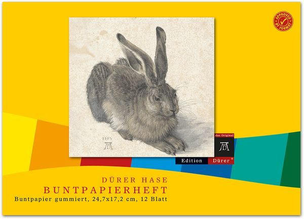 EDITION DÜRER Buntpapierheft 24,7 x 17,2 cm gummiert 12 Blatt