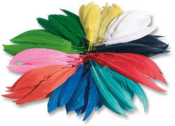 FOLIA Indianerfedern 100 g mehrere Farben