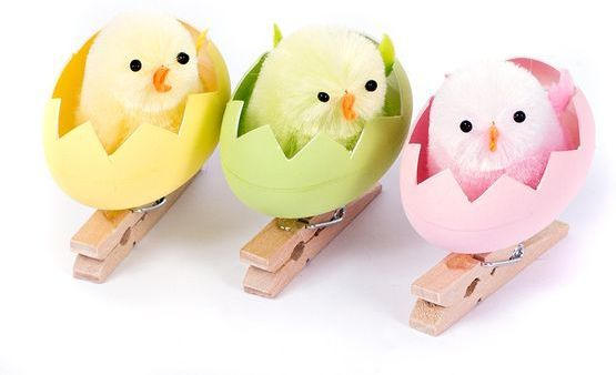 Kluppen ”Chenilleküken im Ei” 3 Stück mehrere Farben