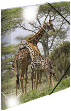 PAGRO DISKONT HERMA Gummizugmappe ”Giraffe” A4 bunt