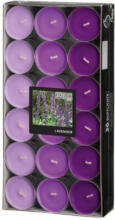 PAGRO DISKONT Duftlichter ”Lavendel” Ø 3,8 cm 36 Stück violett