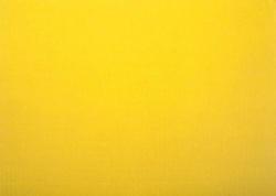 FOLIA Wellpappe 50 x 70 cm gelb