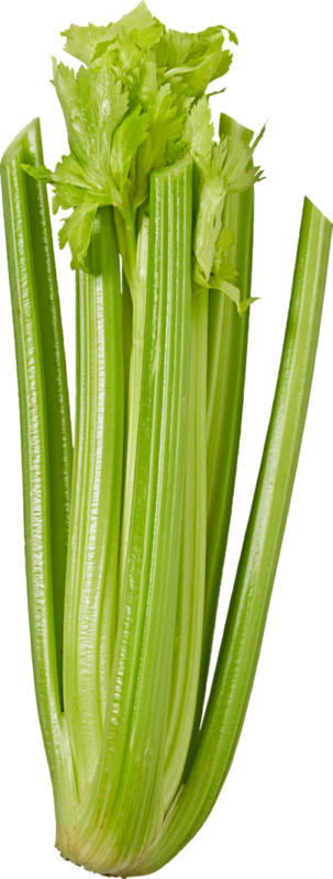 Stangensellerie , Spanien/Italien, 500 g