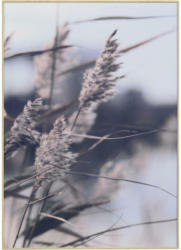 Bild 50/70 cm