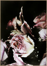 Bild 50/70 cm