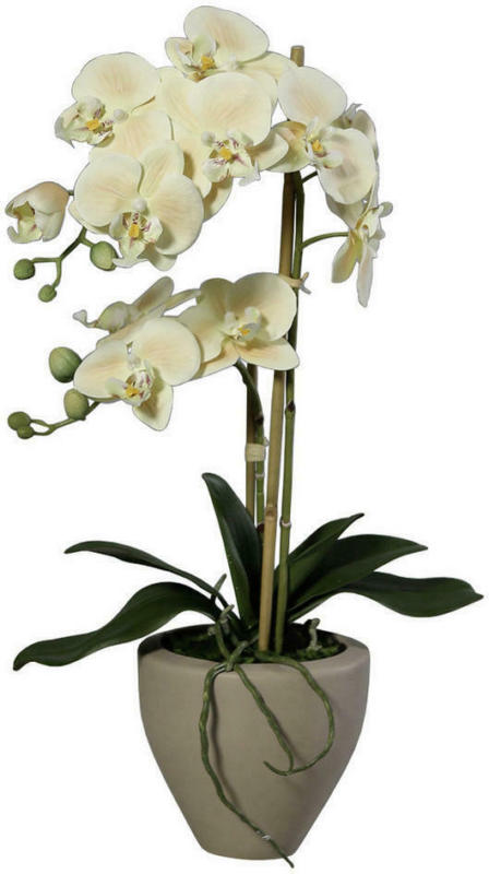 Kunstblume